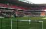 Les canaris plument lemans